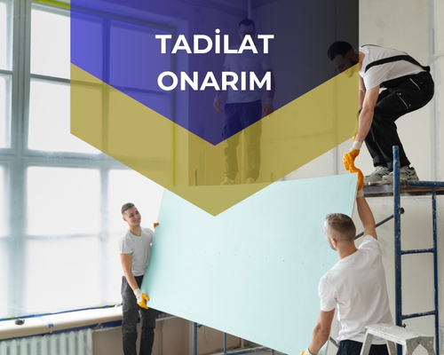 Anka Yönetim